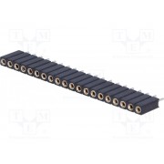 Connector  DIL 1x20p  female