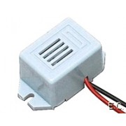 Zoomer 12V solid state